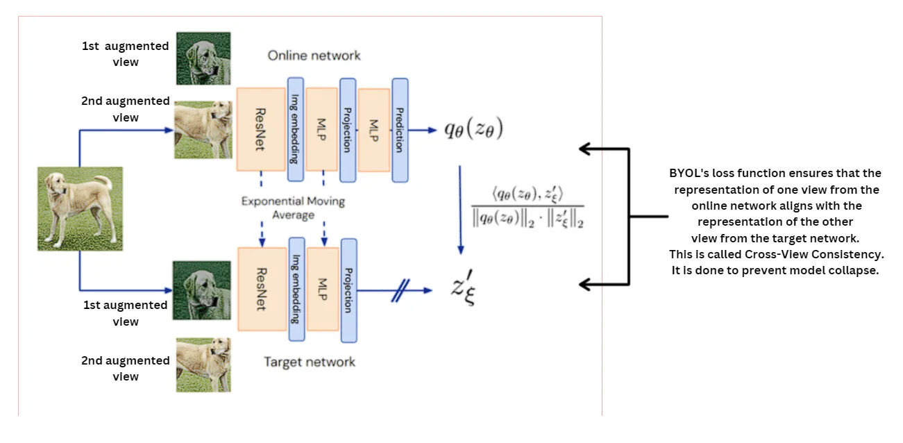 BYOL schematic: online net, target net, predictor, stop-grad
