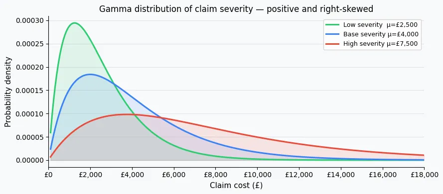 Gamma distribution of claim severity showing right-skewed positive amounts across risk segments