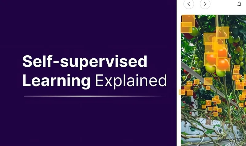 Self-Supervised Learning Header Image