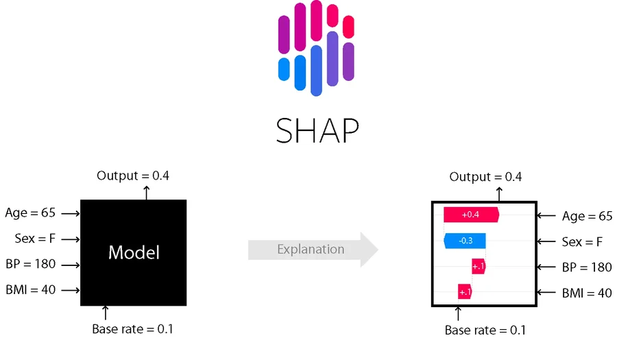 SHAP summary beeswarm plot showing feature impact direction and magnitude across the portfolio